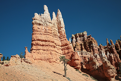 Bryce Canyon : Utah : Landscape Photos : Richard Moore : Photographer